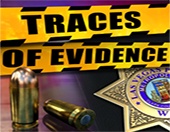 Traces Of Evidence