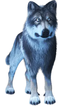 Mythic Wolf character with the name of the game with prominent blue, white and purple colours